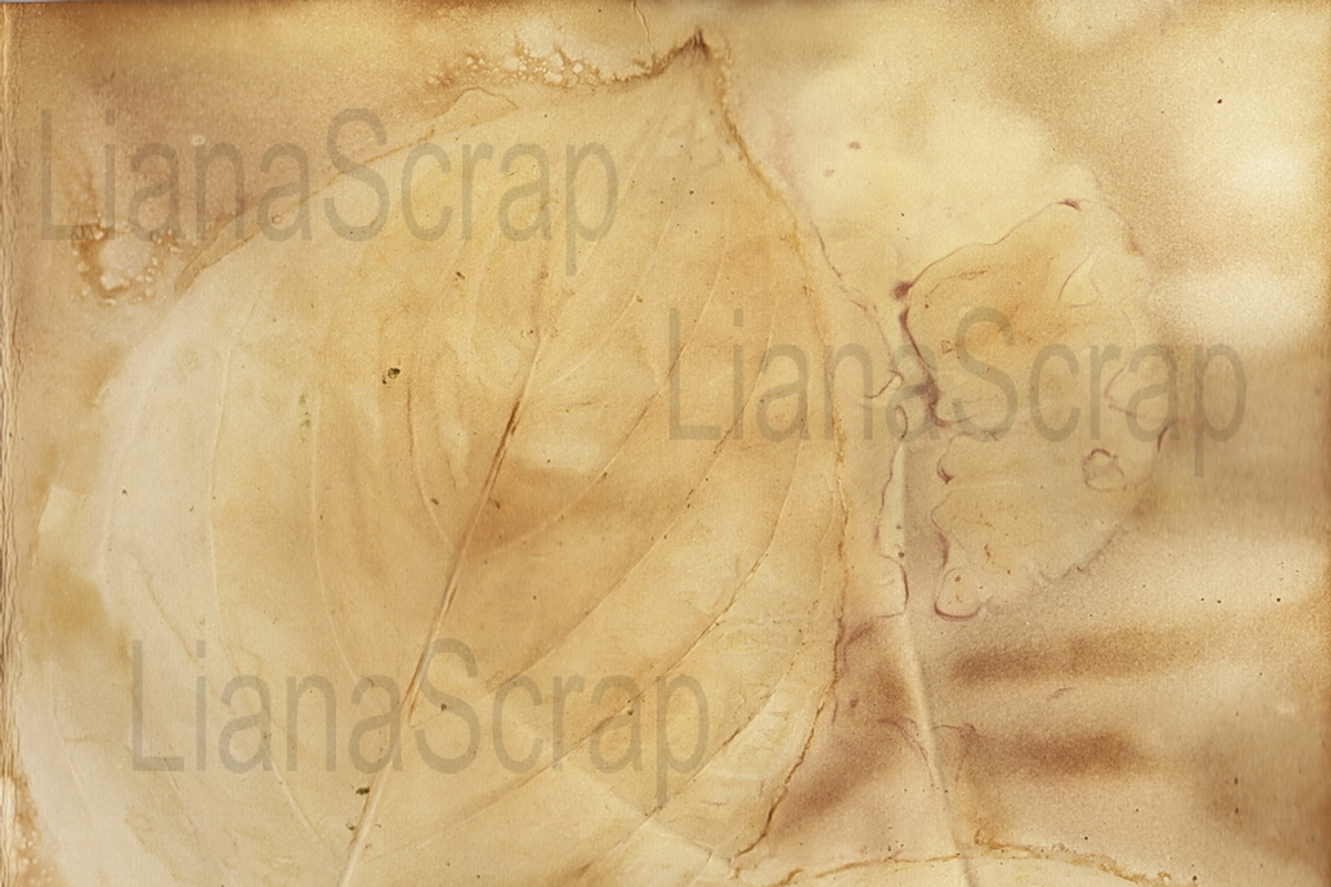 36 ECO Dyed paper - Forest Floor, a Texture Graphic by LianaScrap (Photo 8 of 19)