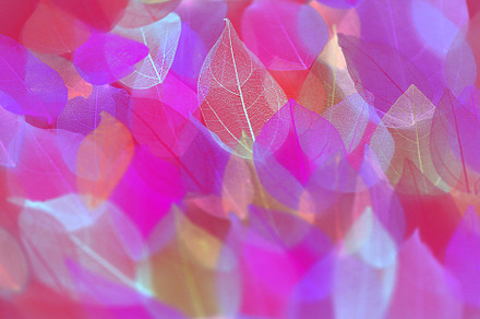 Evening glow preview 5