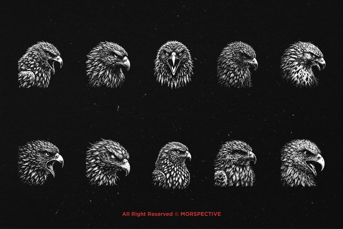 10 Bundle Dark Art Hawk Head Bird, an Illustration by Morspective (Photo 6 of 7)