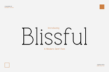 Blissful - Modern Stylish