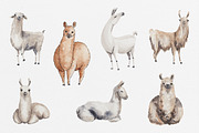 Watercolor Llamas + 2 Patterns, an Animal Illustration by Petite Salade (Thumbnail 2 of 4)