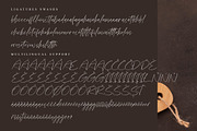 Fashiones, a Script Font by operatype.co (Thumbnail 15 of 15)