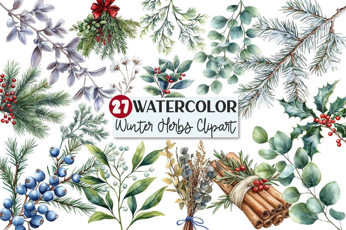 Winter Herbs Sublimation Clipart, an Illustration by Rose Art (Photo 1 of 7)