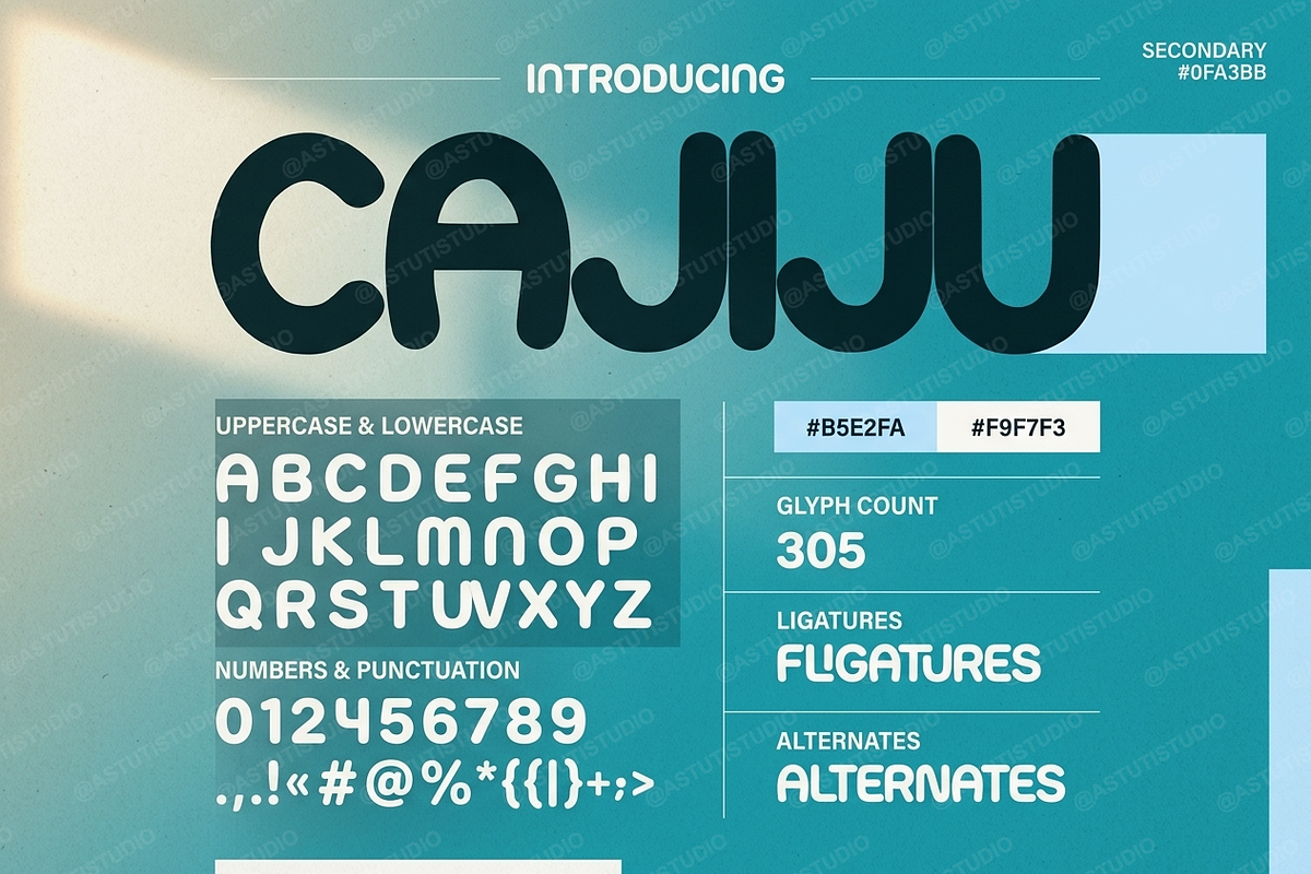 Cajiju - Sophisticated Serif, a Serif Font by Astuti Studio (Photo 3 of 24)
