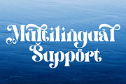 Hicken Witch, a Serif Font by LetterStock (Thumbnail 7 of 8)