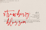 Faustine //Modern Script, a Handwritten Font by PeachCreme (Thumbnail 4 of 16)