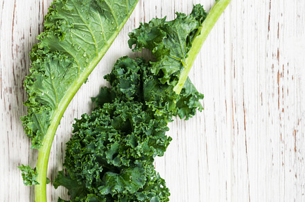 Kale or leaf cabbage containing agriculture, background, and broccoli, a Food & Drink Photo by Ali Safarov
