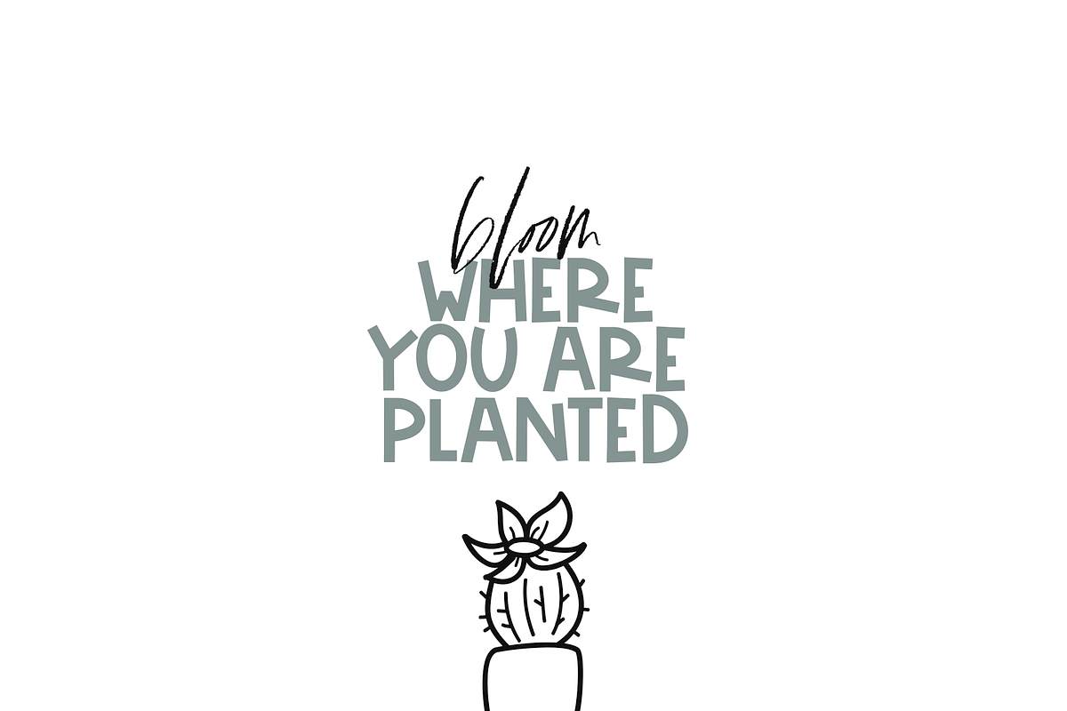 Fancactus - A Fun Doodle Font preview 6