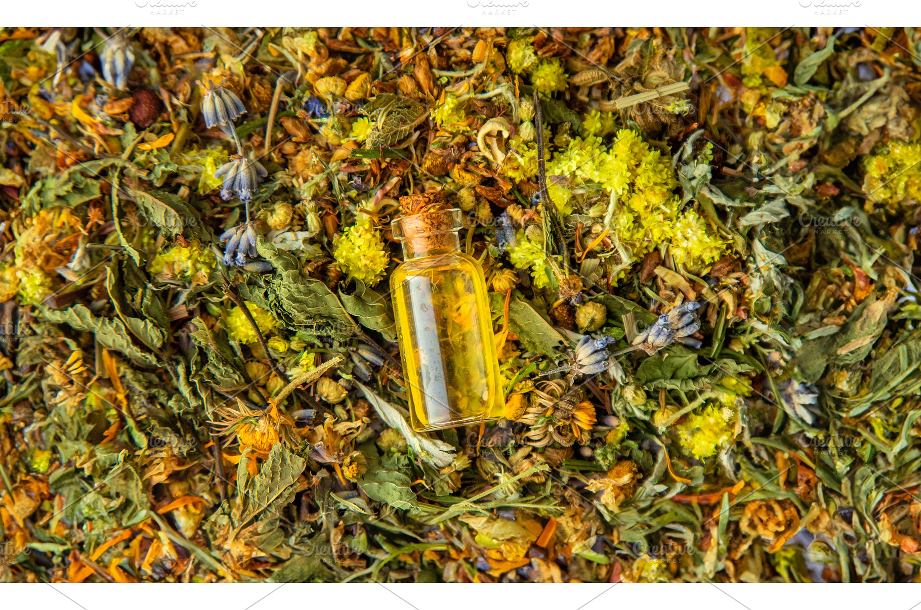 Medicinal herbal extract in a bottle, a Nature Photo by yanadjana