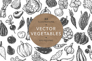 Vector Vegetables. Illustrations.