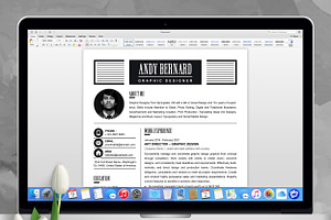 Designer Resume Sample & Design