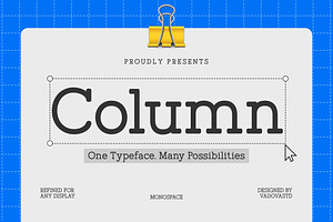 Column Modern Soft Slab Serif Font, a Slab Serif Font by Vadovastd