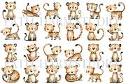 25 Leopard Clipart, an Animal Illustration by Pati Charm Studio (Thumbnail 2 of 8)