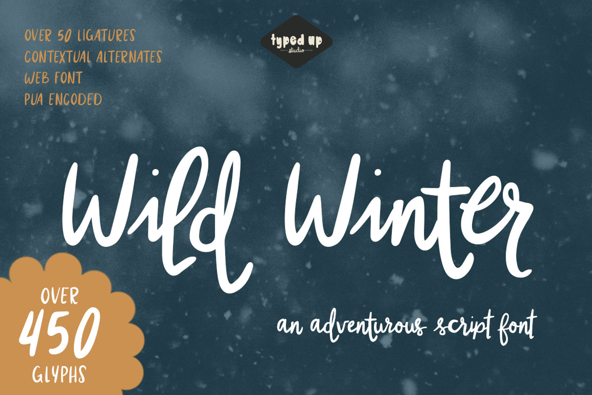Wild Winter | Extensive Script Font, a Script Font by Typed Up Studio (Photo 1 of 16)