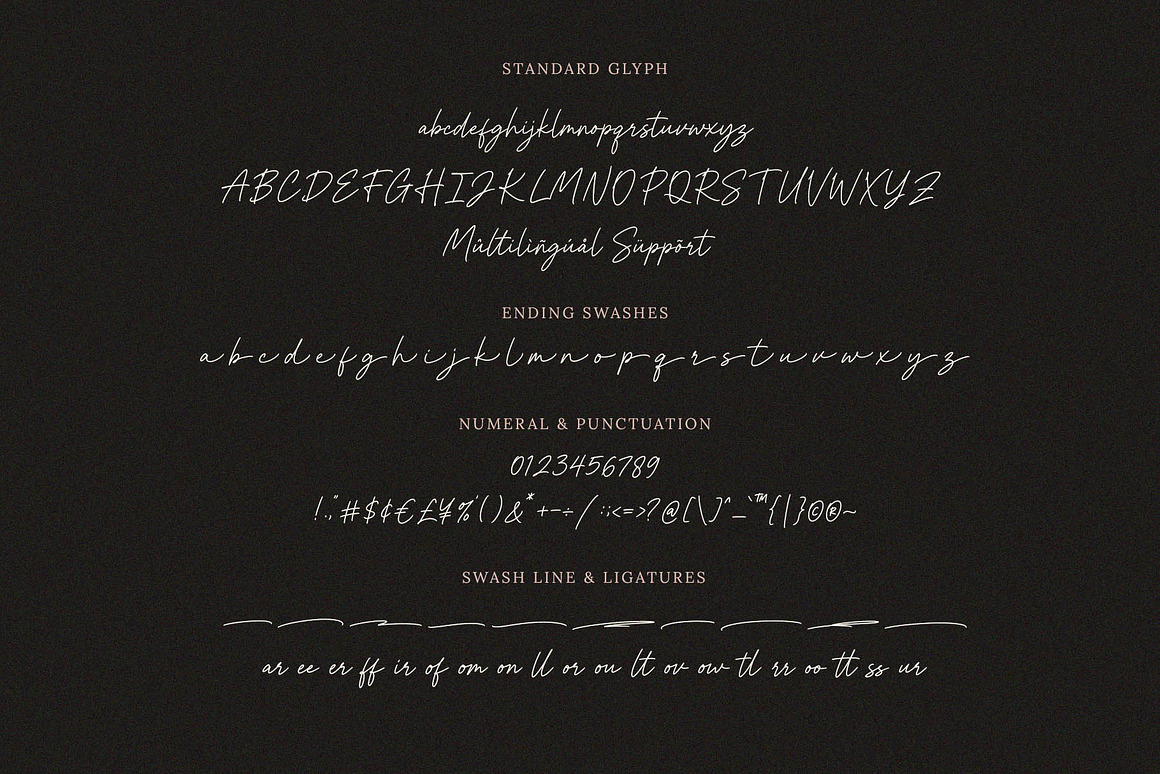 Hillmont Signature Script Font, a Script Font by Seagulls Creative (Photo 9 of 9)