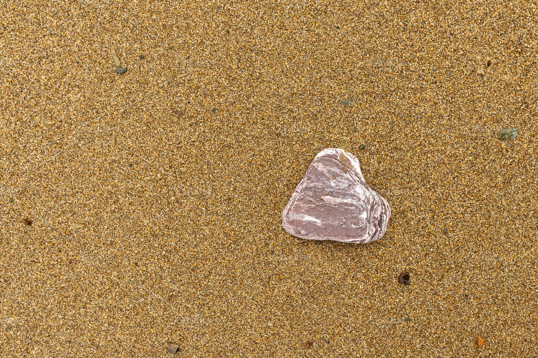 Single stone resting on sandy beach, a Background Photo by Elena Vagengeim