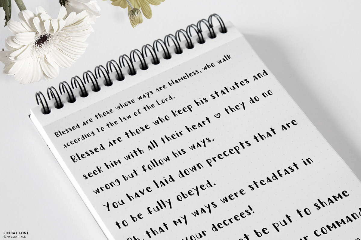 Fox Cat Hand Drawn Font preview 7