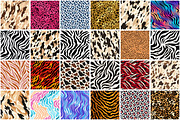Animals Skin Pattern, a Pattern Graphic by Forhadx5 (Thumbnail 10 of 19)