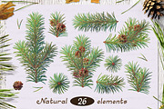 vector SET Winter Forest, an Animal Illustration by WINDmade (Thumbnail 2 of 19)