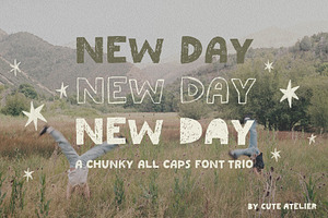 NEW DAY: CHUNKY PLAYFUL FONT TRIO