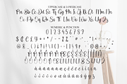 Saturday | Script Font, a Handwritten Font by Scratchones (Thumbnail 7 of 9)