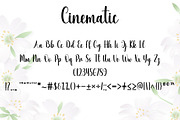 Cinematic, a Handwritten Font by DN Creative (Thumbnail 5 of 6)