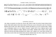 Flurries - Serif Display Font, a Serif Font by Brainwaves.Studio (Thumbnail 6 of 8)
