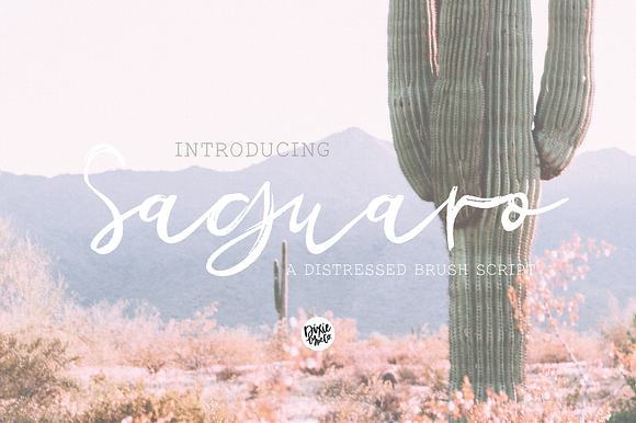 SAGUARO Distressed Brush Script preview 8