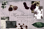 Mystic Autumn Botanical Grain, a Background Graphic by Anzhelika (Thumbnail 1 of 12)