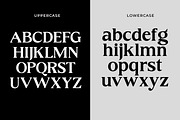 Galens | Serif font family, a Font by InkwellTypeCo (Thumbnail 7 of 11)