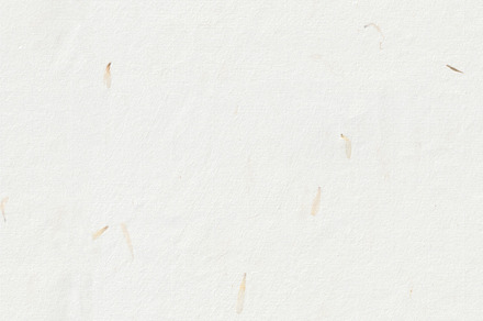 Yellow Petals Paper Texture. Handmade Rice Fibers for Scrapbook Background. Sea, a Background Photo by Textures & Backgrounds