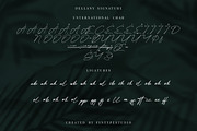 Dellany Signature Business Font, a Script Font by KennedyStudio (Thumbnail 7 of 9)