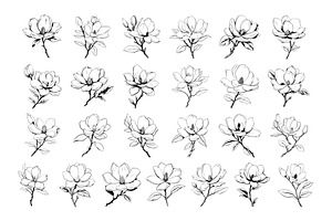 50 Magnolia Procreate Stamps Brushes