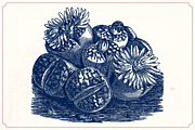Vintage Cacti and Succulents, an Object Illustration by Mr Vintage (Thumbnail 4 of 11)