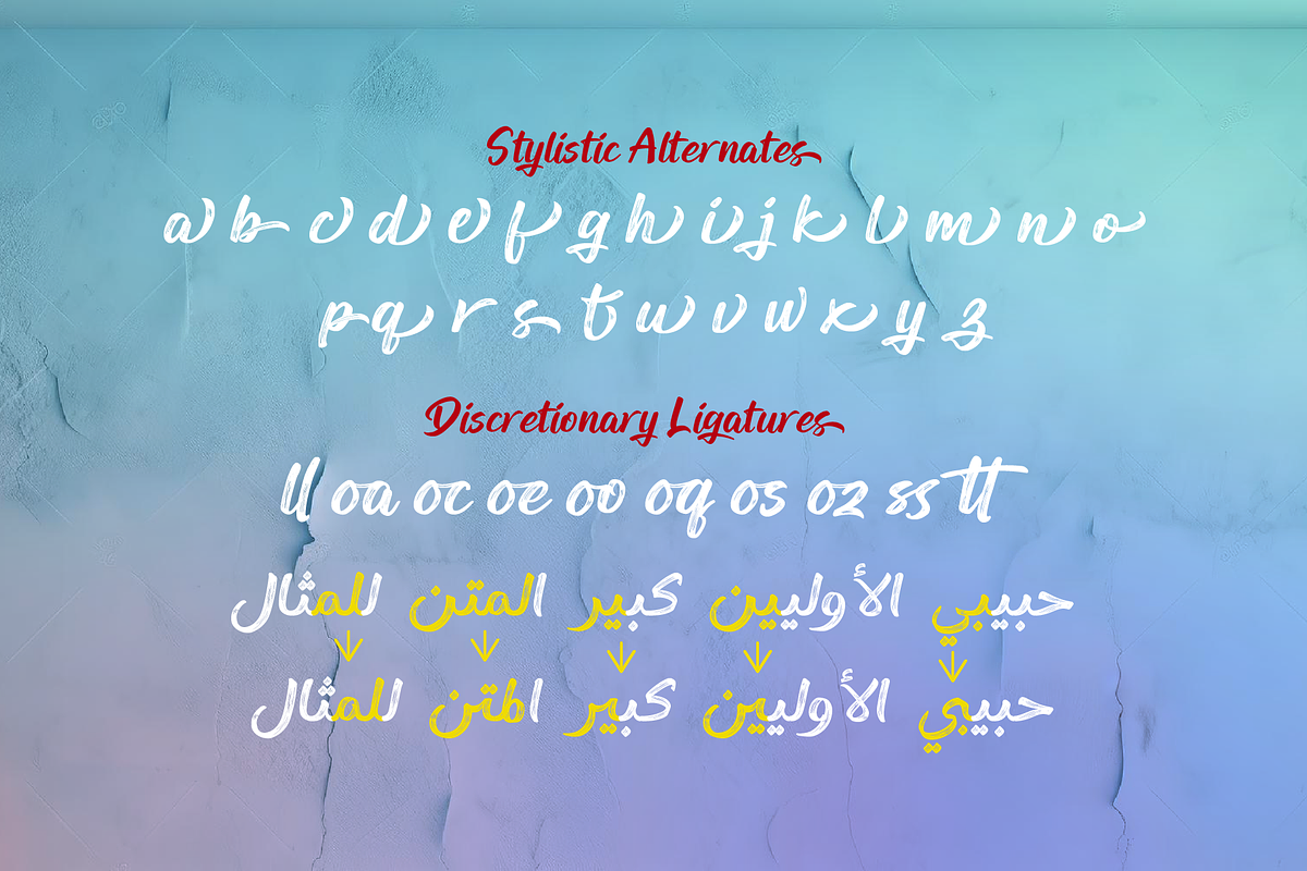 Ink Brush Arabic | Arabic Brush Font, a Handwritten Font by Namela Studio (Photo 6 of 9)