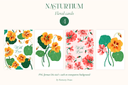 Nasturtium summer flowers clipart, a Decorative Illustration by Harmony Draws (Thumbnail 5 of 8)