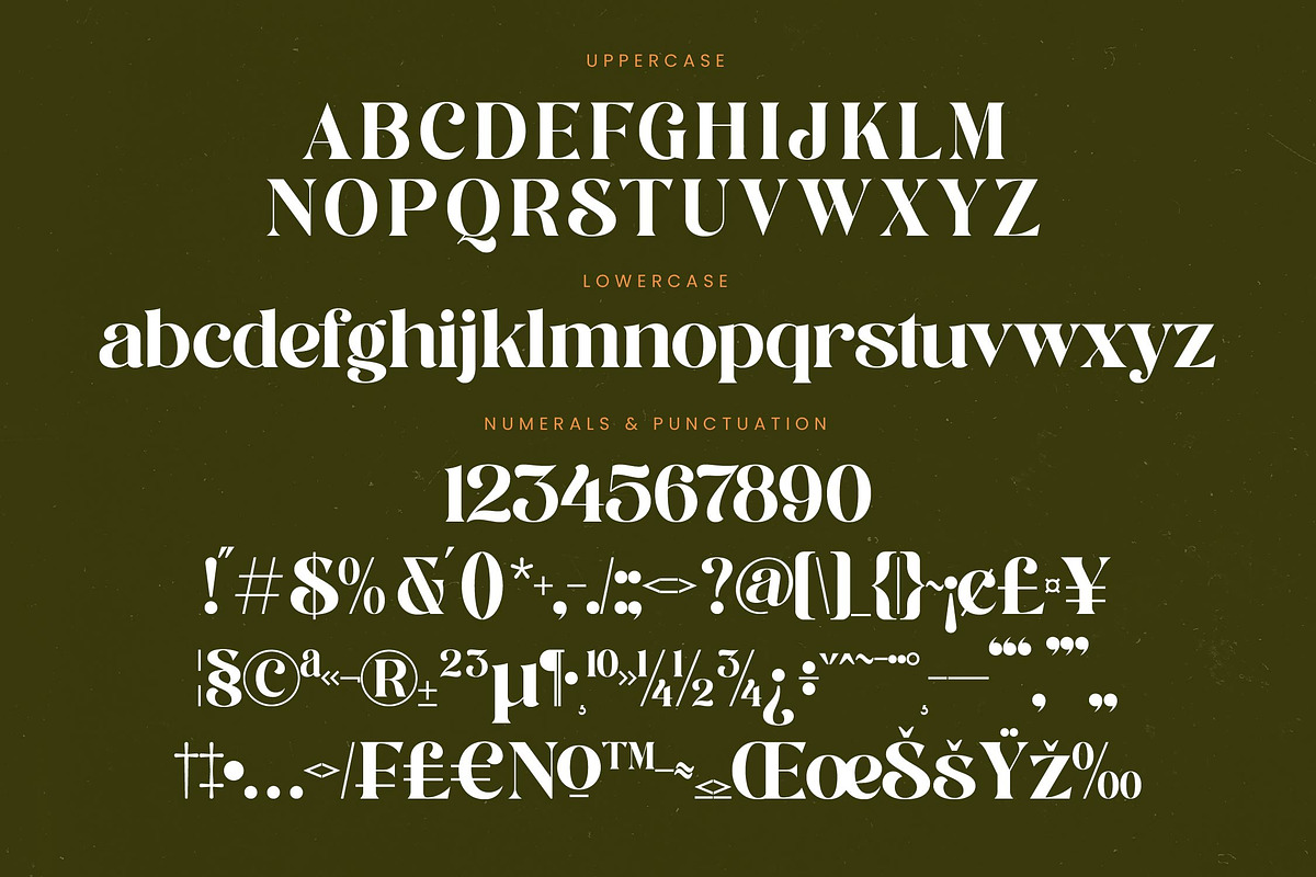 Runlight Harmony Groovy Serif, a Serif Font by timelesstype.co (Photo 18 of 20)