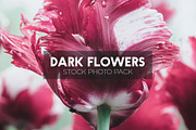 Dark Flowers - Stock Photos, a Nature Photo by outlinez (Thumbnail 5 of 8)