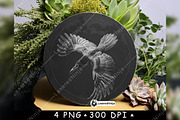 Flying Raven Mysterious Dark Circle, a Background Graphic by LaseredNinja (Thumbnail 3 of 7)