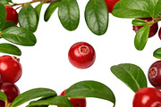 All Fruits Bundle Master Collection, a Food & Drink Photo by FlyeredTemplate (Thumbnail 5 of 130)