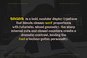 SAGAS - Serif Display Font, a Serif Font by Boril Std (Thumbnail 2 of 14)