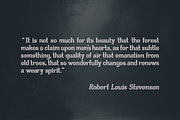 Allegoria Stencil, a Slab Serif Font by Fedfonts (Thumbnail 3 of 8)