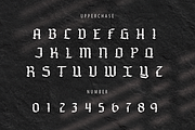 Risselamp, a Blackletter Font by GlottaTypeface (Thumbnail 5 of 8)
