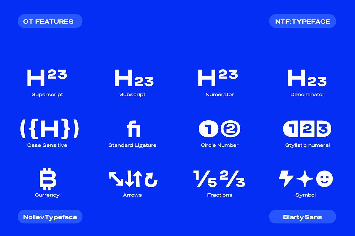 Biarty — Modern Neo-Grotesk Sans, a Sans Serif Font by Nollev (Photo 11 of 13)