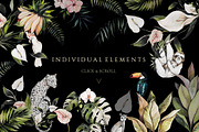 TROPICAL PARADISE-watercolor set, an Object Graphic by Natalia Tugova (Thumbnail 12 of 17)