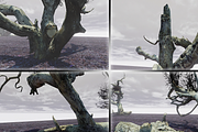 Witchwood, an Environmental 3D Model by MotuProprio (Thumbnail 4 of 7)