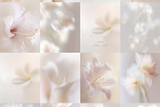 Ethereal Floral Backgrounds Bundle, an Abstract Photo by Allure Art (Thumbnail 2 of 26)