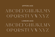 Moche - Luxury Serif Font, a Serif Font by Aqeel_Art (Thumbnail 10 of 12)