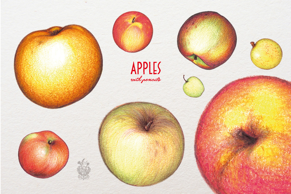 Apples With Colour Pencils + Bonus, a Food Illustration by Andrea Tardivo (Photo 3 of 15)