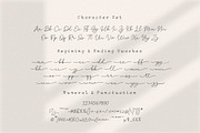 Clandia Monoline Script & Ornaments, a Script Font by Typebae (Thumbnail 9 of 12)